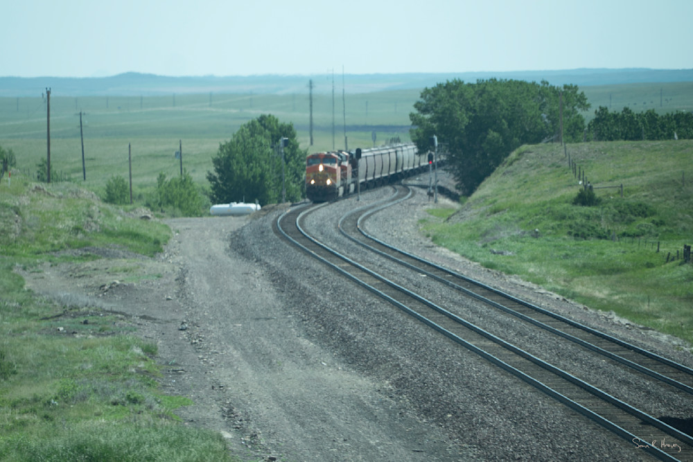 Heavey Dsc07303.Jpg Photography Art | Sean R. Heavey