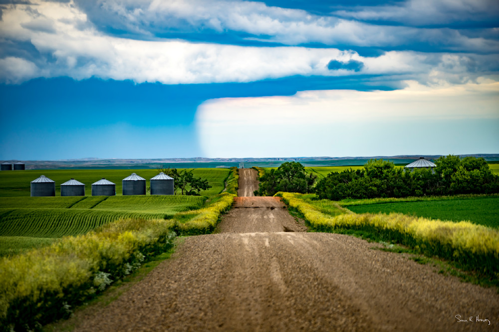 Heavey Dsc07362.Jpg Photography Art | Sean R. Heavey