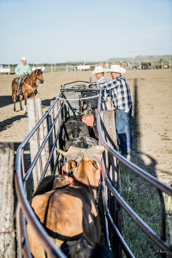 Heavey Dsc08264.Jpg Photography Art | Sean R. Heavey