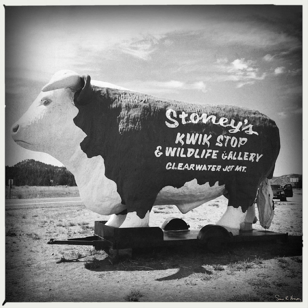 Heavey Img 0647.Jpg Photography Art | Sean R. Heavey