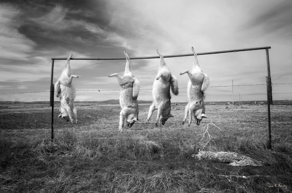 Heavey Img 1643.Jpg Photography Art | Sean R. Heavey