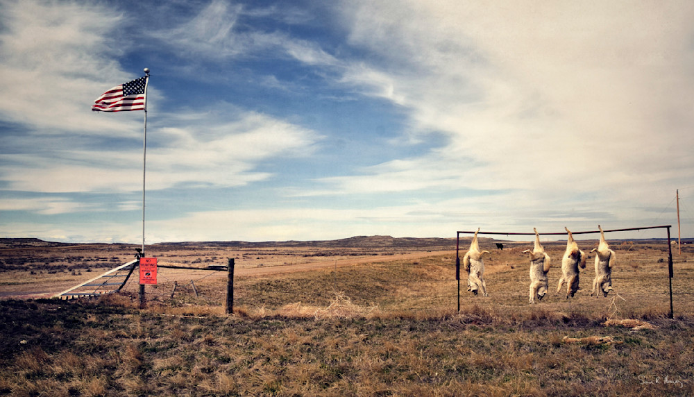 Heavey Img 1704.Jpg Photography Art | Sean R. Heavey