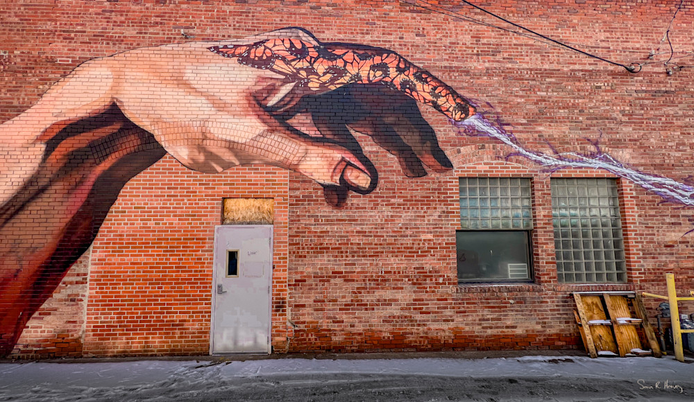 Heavey Img 1857.Jpg Photography Art | Sean R. Heavey