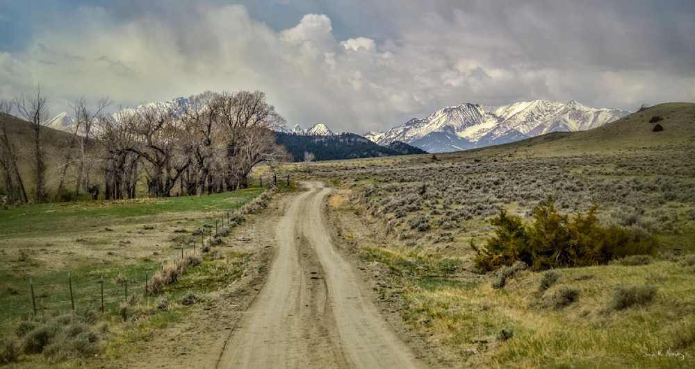 Heavey Img 1876.Jpg Photography Art | Sean R. Heavey