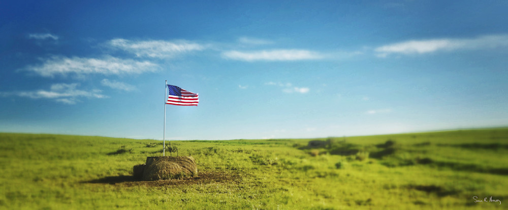 Heavey Img 2357.Jpg Photography Art | Sean R. Heavey