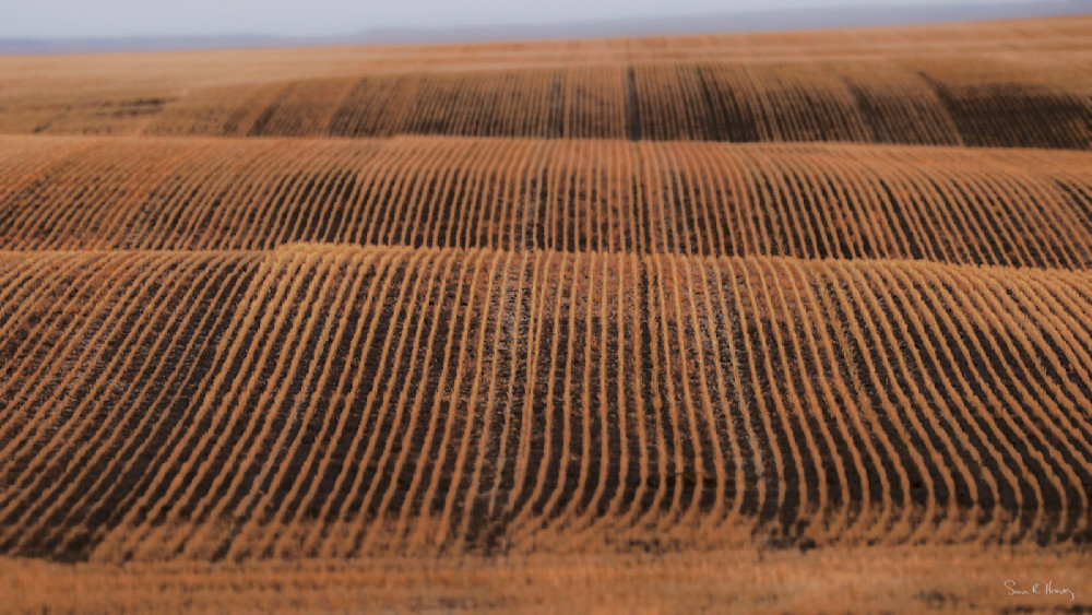 Heavey Img 3169.Jpg Photography Art | Sean R. Heavey