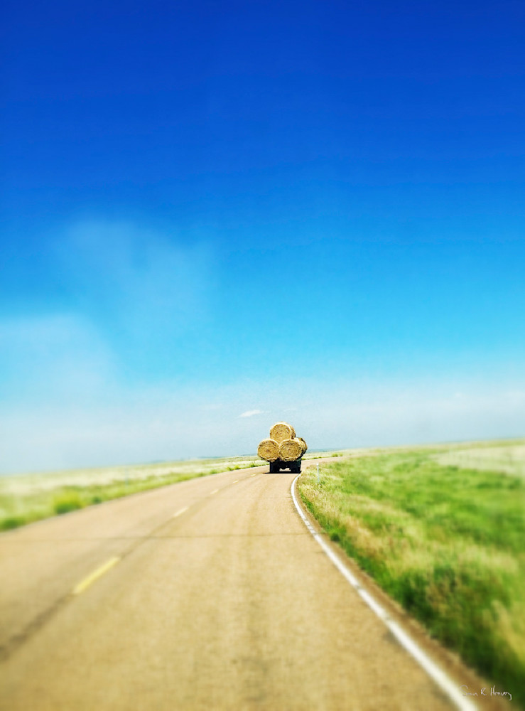 Heavey Img 3638.Jpg Photography Art | Sean R. Heavey