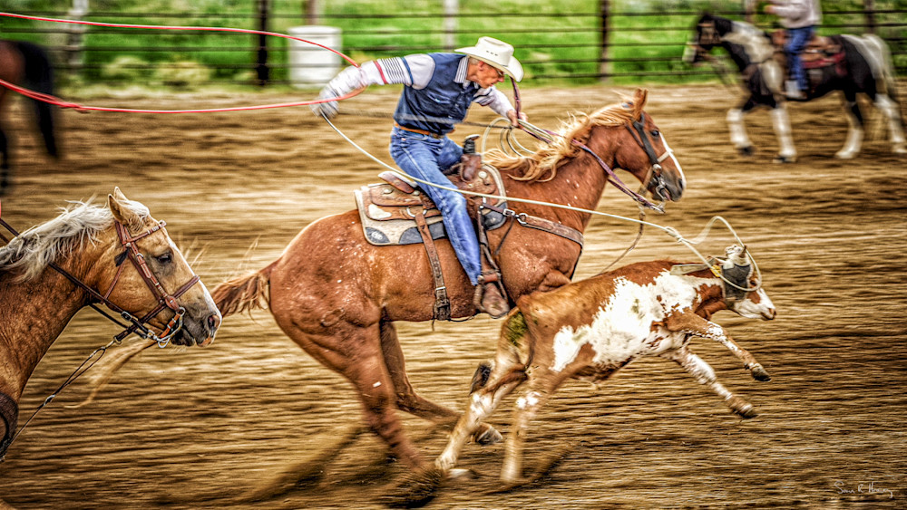 Heavey Img 4948.Jpg Photography Art | Sean R. Heavey