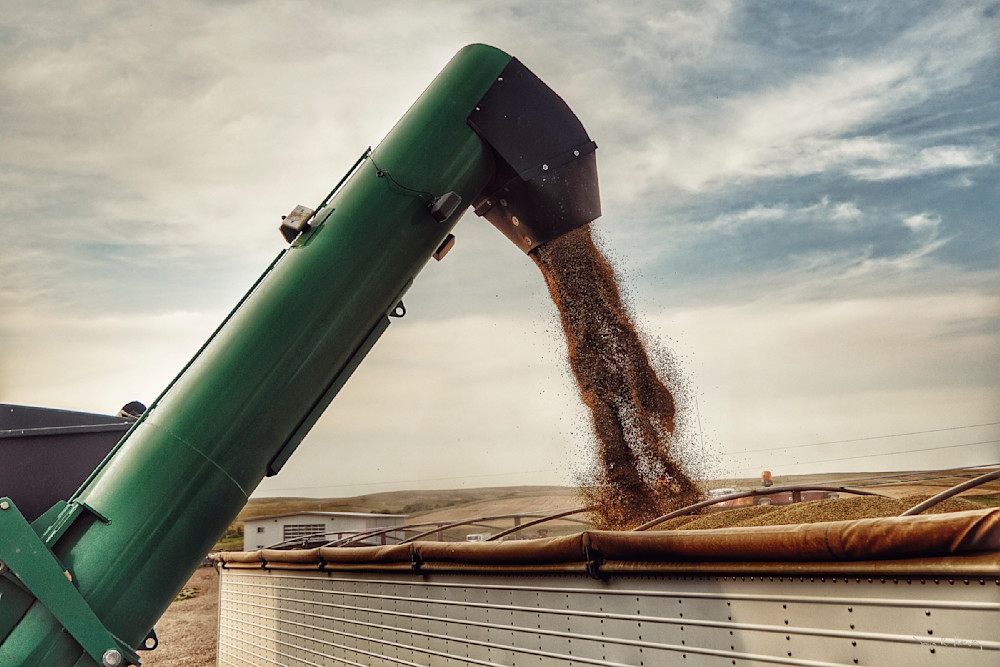 Heavey Img 5799.Jpg Photography Art | Sean R. Heavey