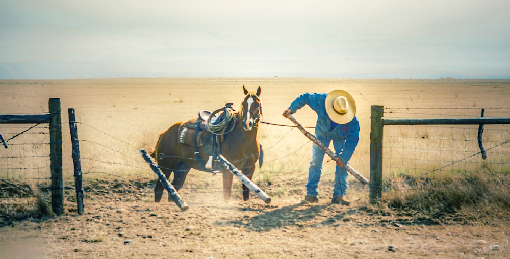 Heavey Img 9088.Jpg Photography Art | Sean R. Heavey