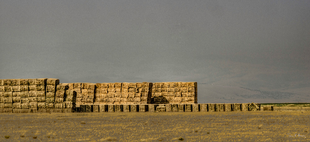 Heavey Img 9089.Jpg Photography Art | Sean R. Heavey