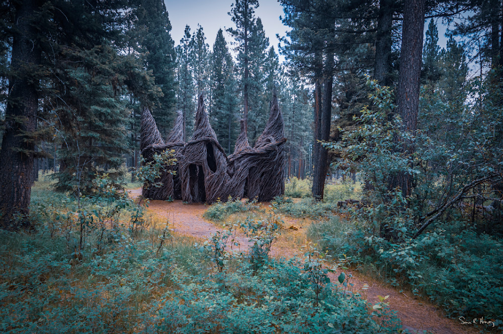 Heavey P6233006.Jpg Photography Art | Sean R. Heavey