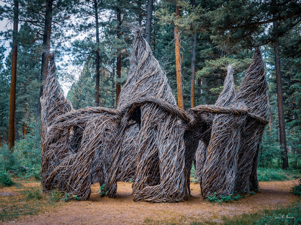 Heavey P6232999.Jpg Photography Art | Sean R. Heavey