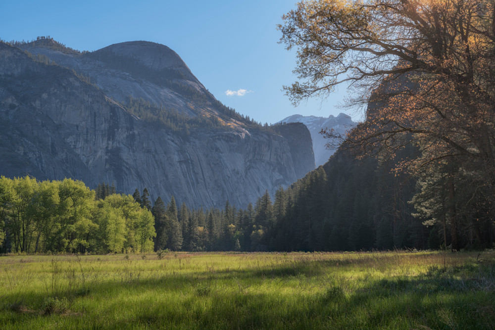 North Dome and Royal Arches - Sentinel Meadow, Yosemite