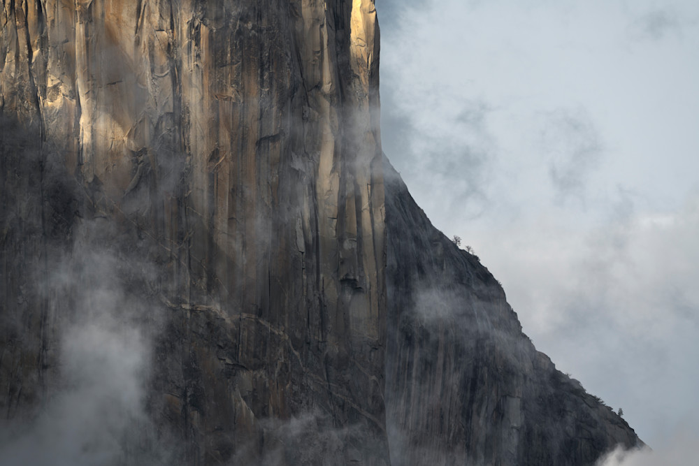 Vertical Textures of El Capitan - Yosemite Valley