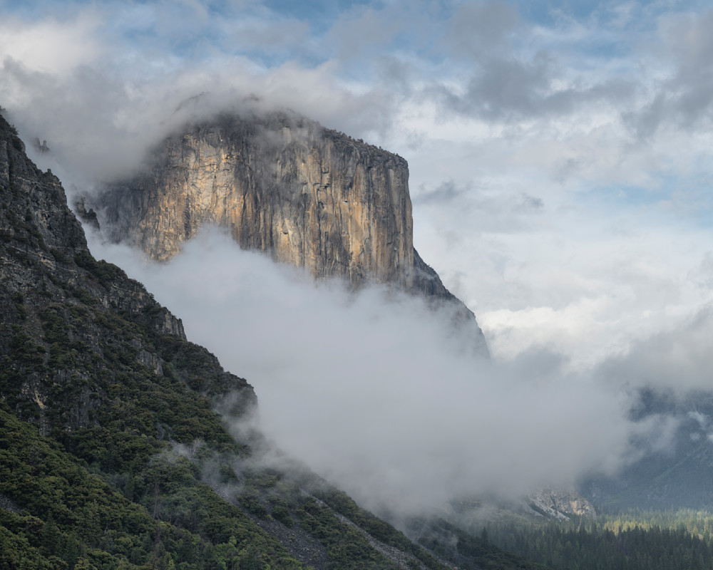 Dappled Light on El Capitan - Yosemite Valley