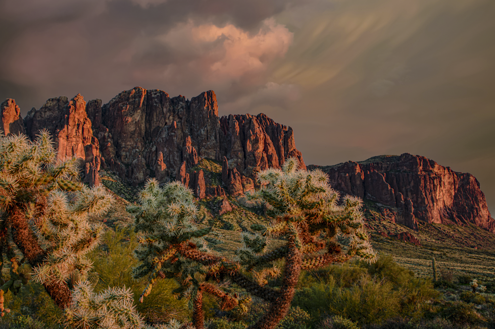 Superstitions Cholla Sunrise Jhe8356.Png Photography Art | James H Egbert's Silver Branch Studios