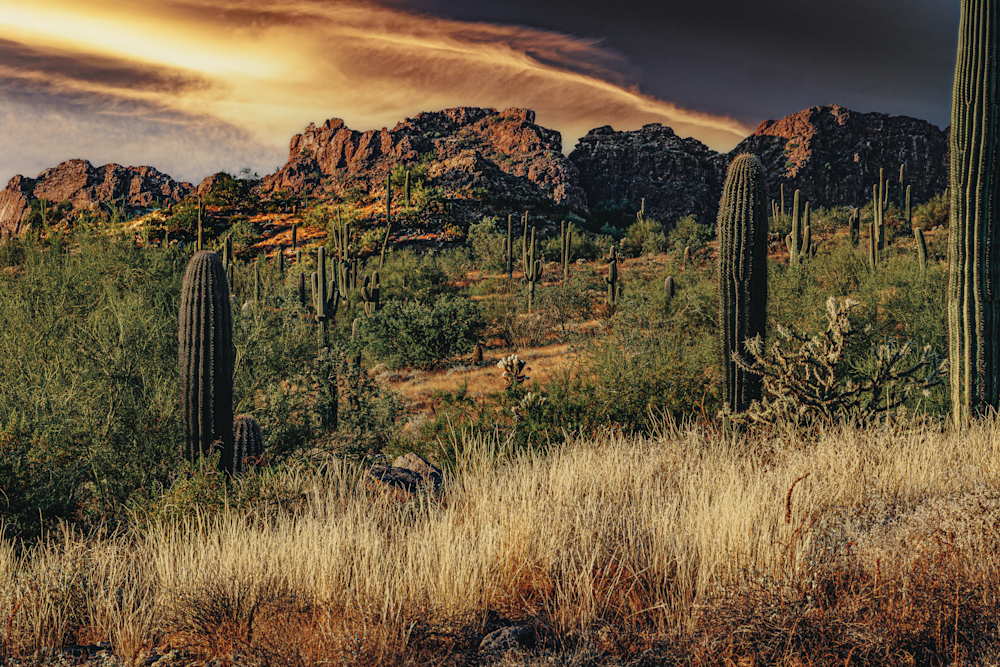 Arizona Desert Dawn Jhe Img 0712 Recovered.Png Photography Art | James H Egbert's Silver Branch Studios