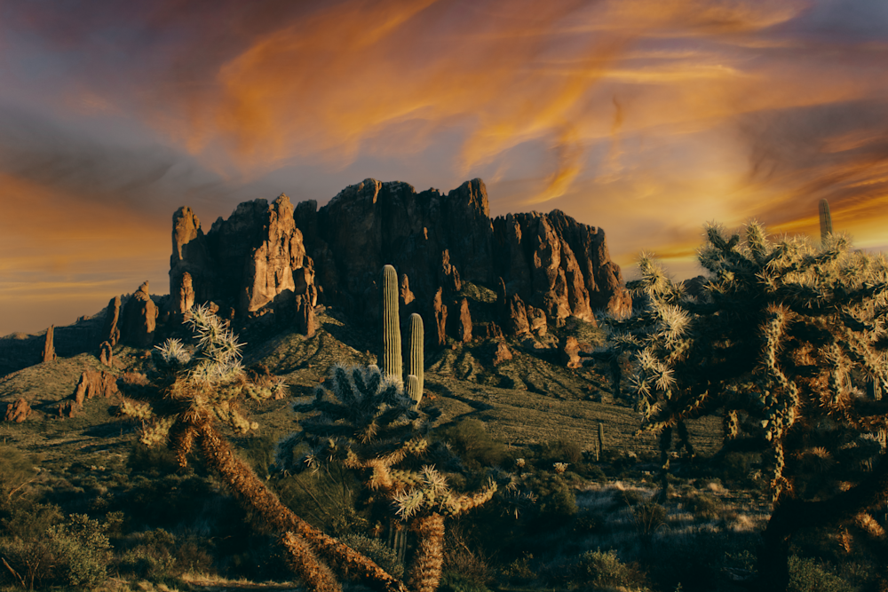 Superstitions Cholla Sunset Jhe8333.Png Photography Art | James H Egbert's Silver Branch Studios