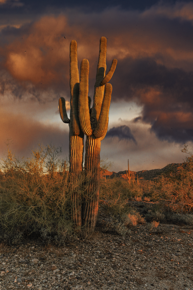 Desert Spring Sunset Jhe Img 0689.Png Photography Art | James H Egbert's Silver Branch Studios