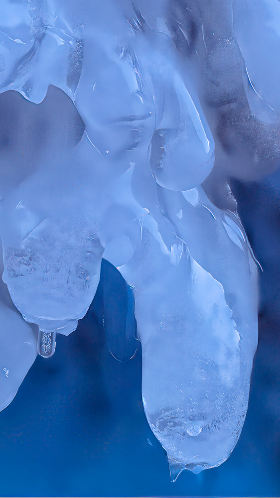 Veiled Presence – fine art nature photography