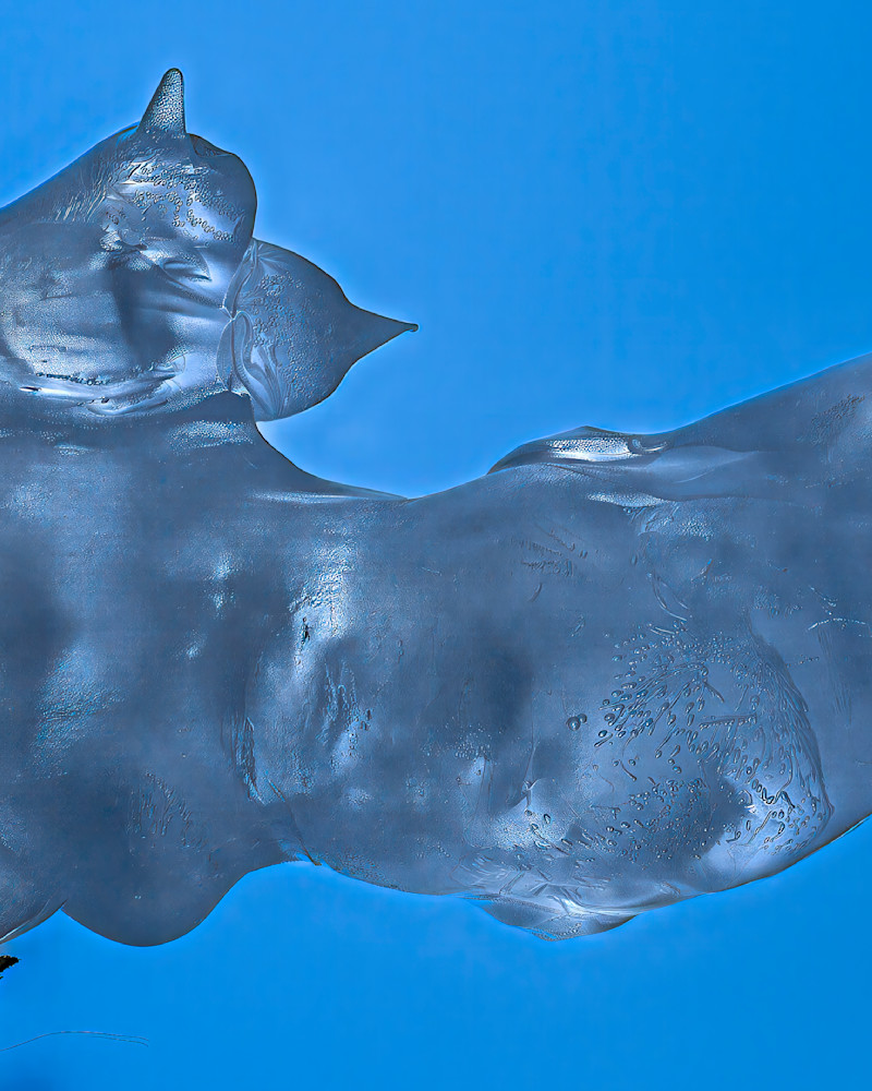 Winter Repose – fine art nature photography