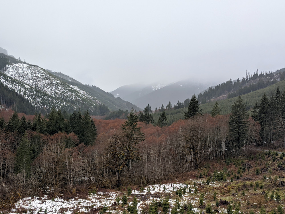 Detroit Wilderness Photography Art | InYourBackyard