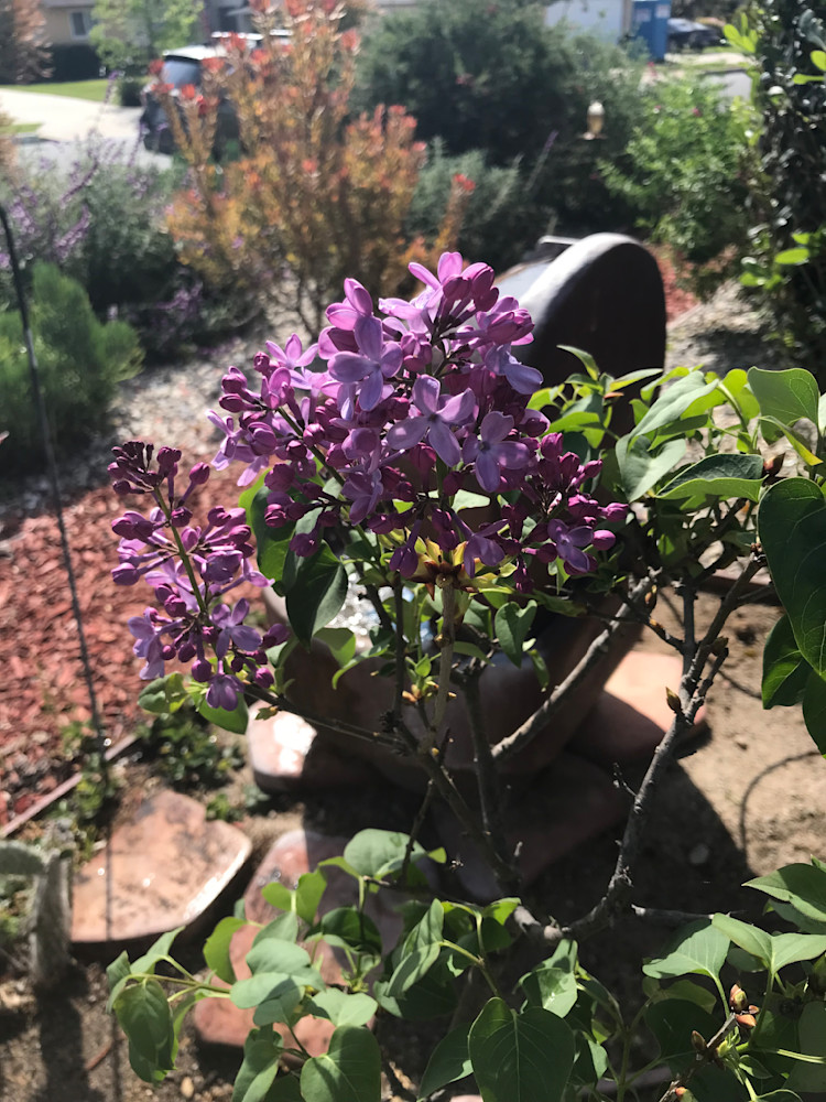 Img 2271 Photography Art | Felton Fotography