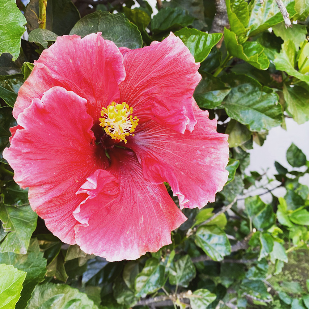 C1 F2254 B 3386 424 A 9 Eb3 6 B59 D69 Bf025 Photography Art | Felton Fotography