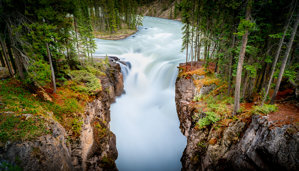 Between Pines and Stone — The Endless Flow at Sunwapta Falls, Jasper National Park