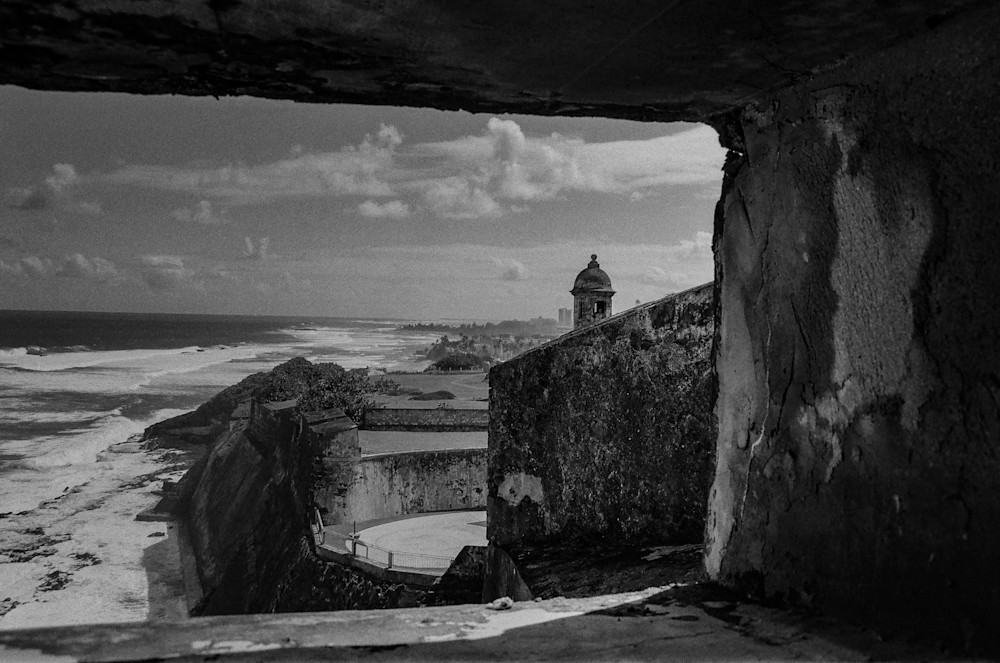 Windswept Shore Photography Art | Steve Rizzi Photography