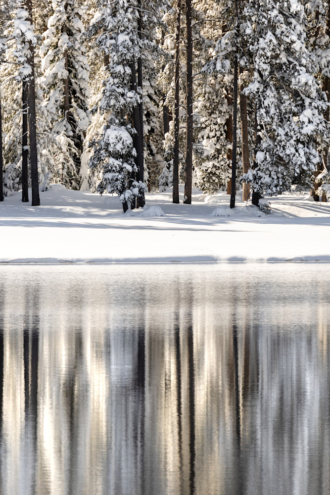 Snowy Donner Lake 38
