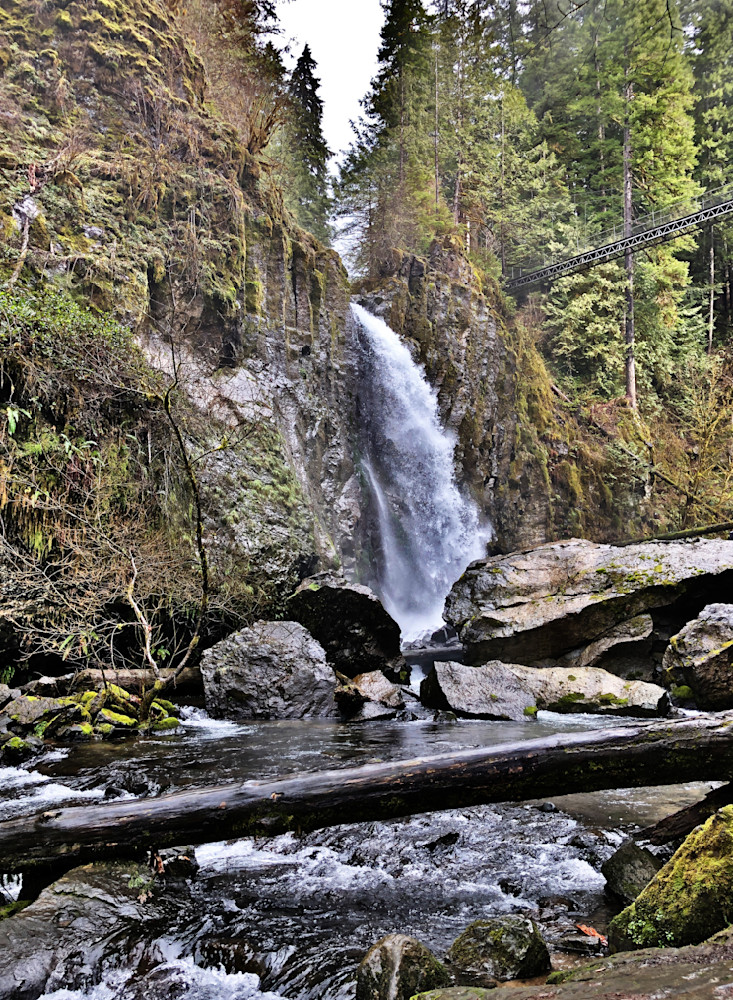 Drift Creek Falls Photography Art | InYourBackyard