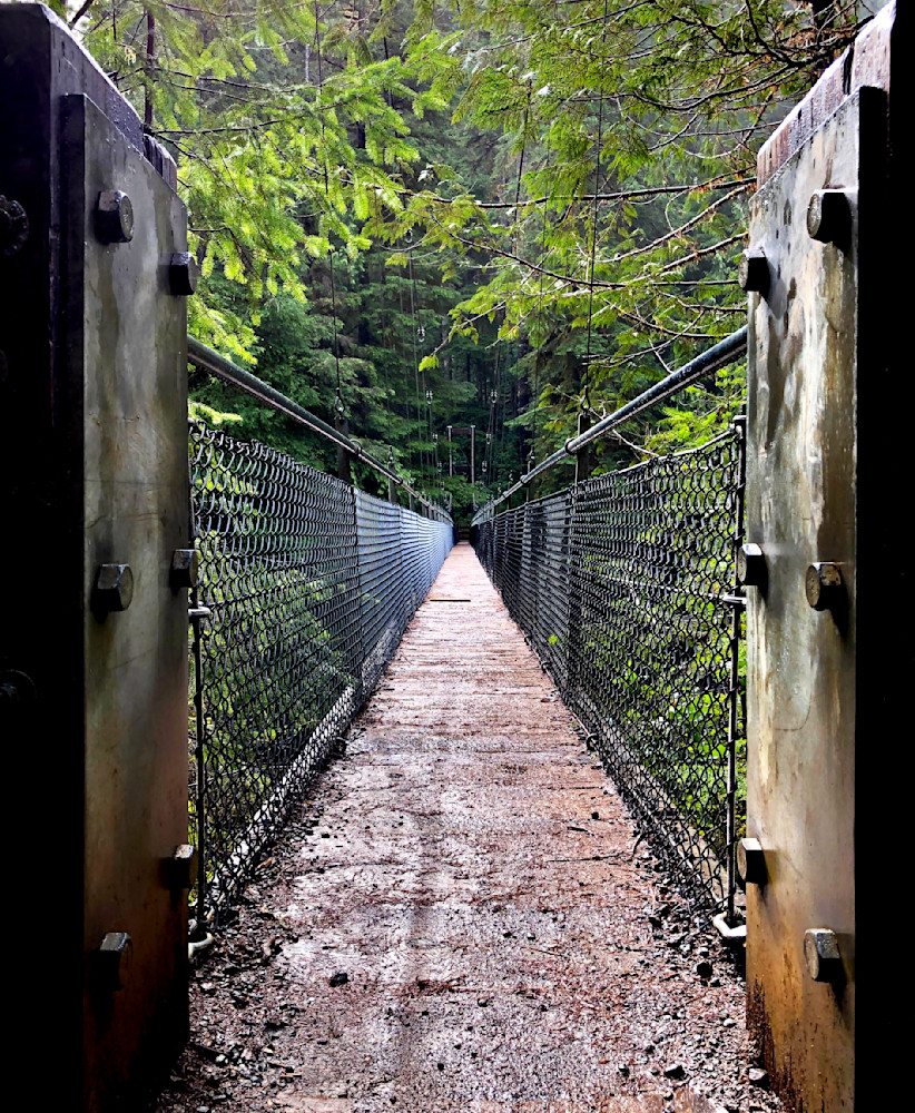 Drift Creek Suspension Bridge Photography Art | InYourBackyard