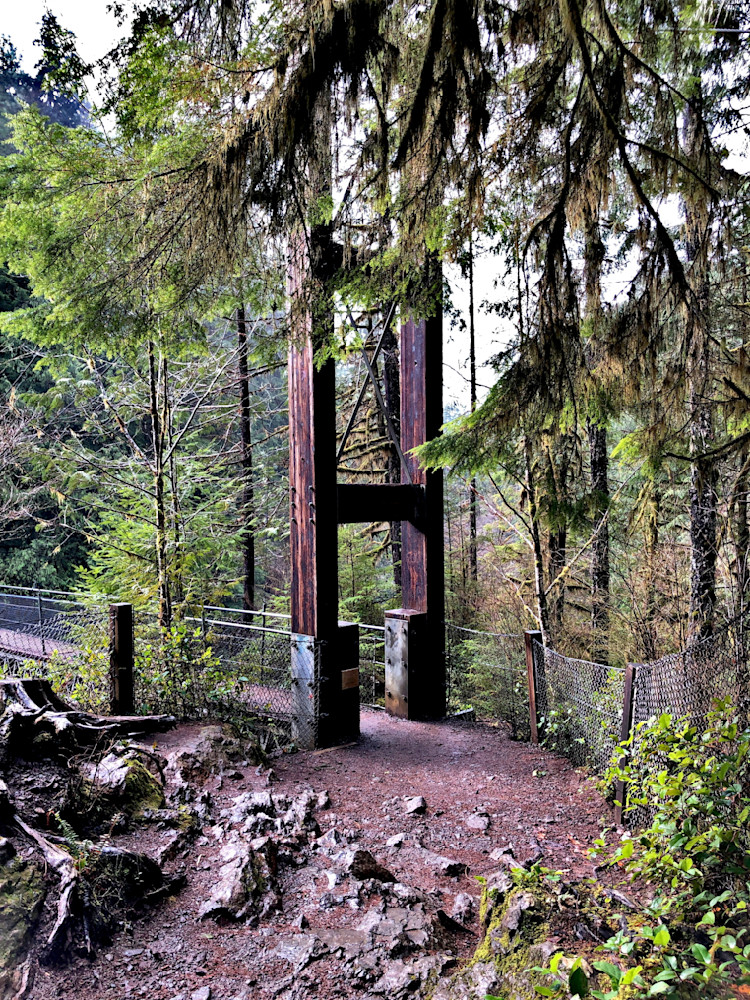 Drift Creek Falls Suspension Bridge Photography Art | InYourBackyard