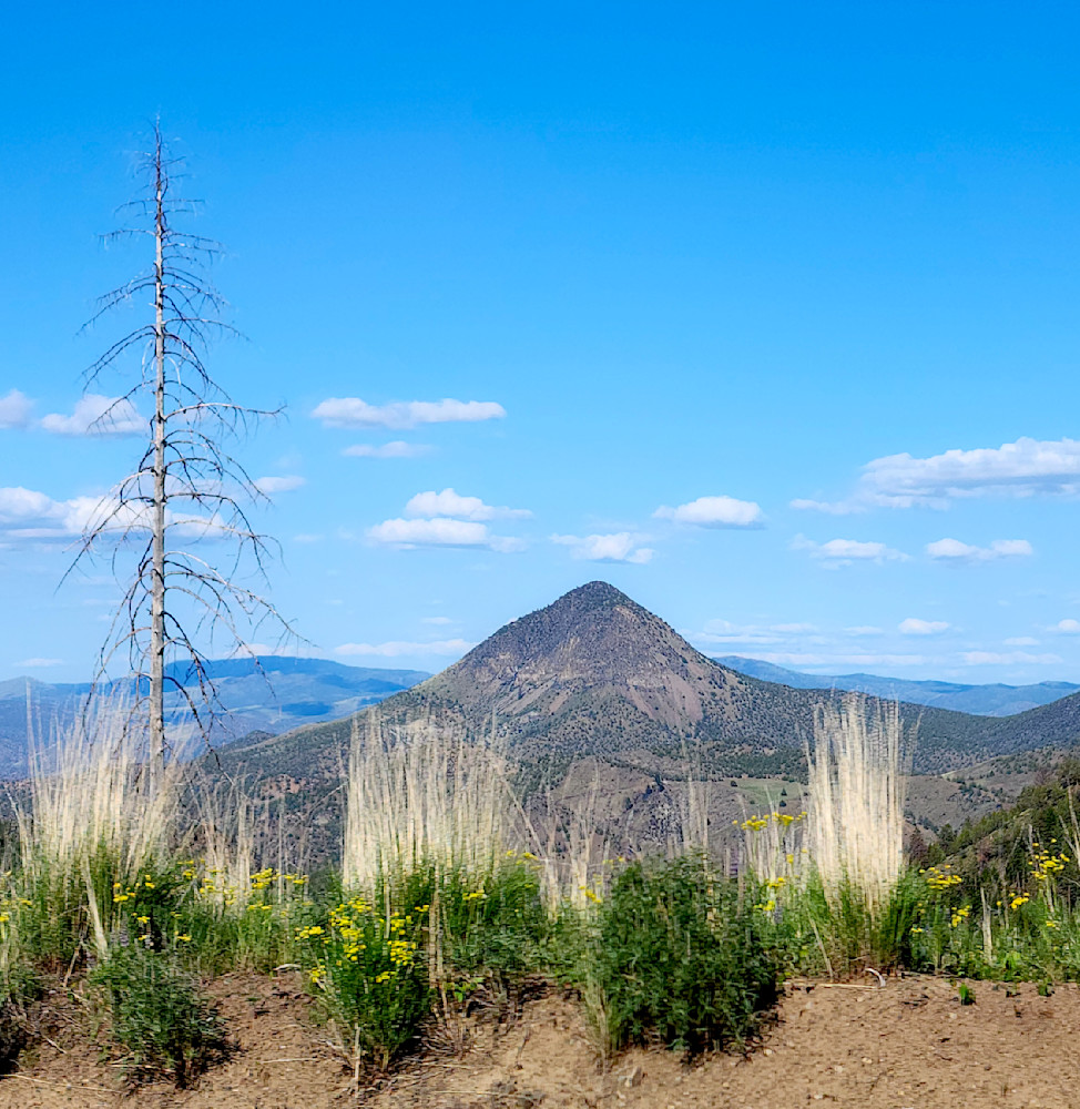 Mountain In The Ochoco National Forest Photography Art | InYourBackyard