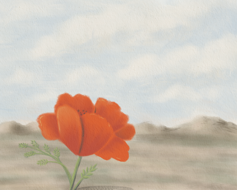 One Poppy Long Horizon – California Poppy Desert Wall Art | Minimalist Southwest Wildflower Art