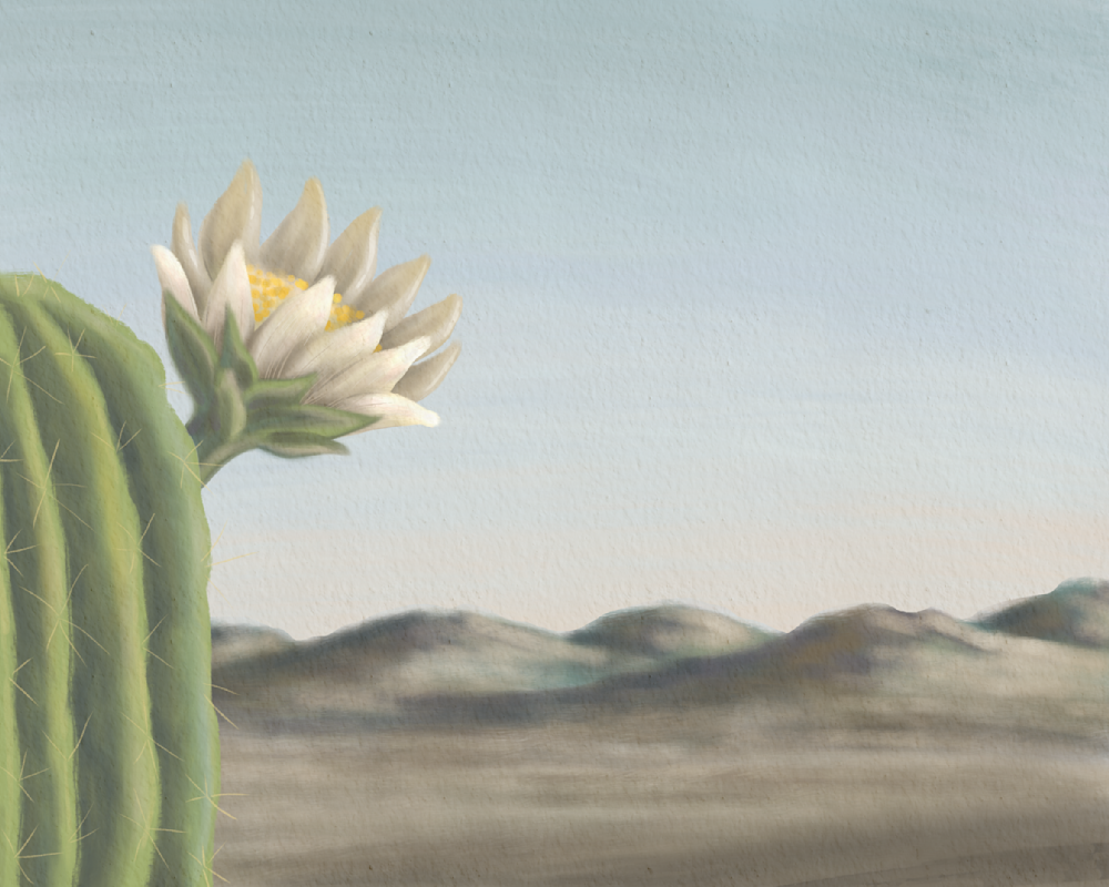 High Note – Saguaro Cactus Flower Wall Art | Minimalist Desert Botanical Art