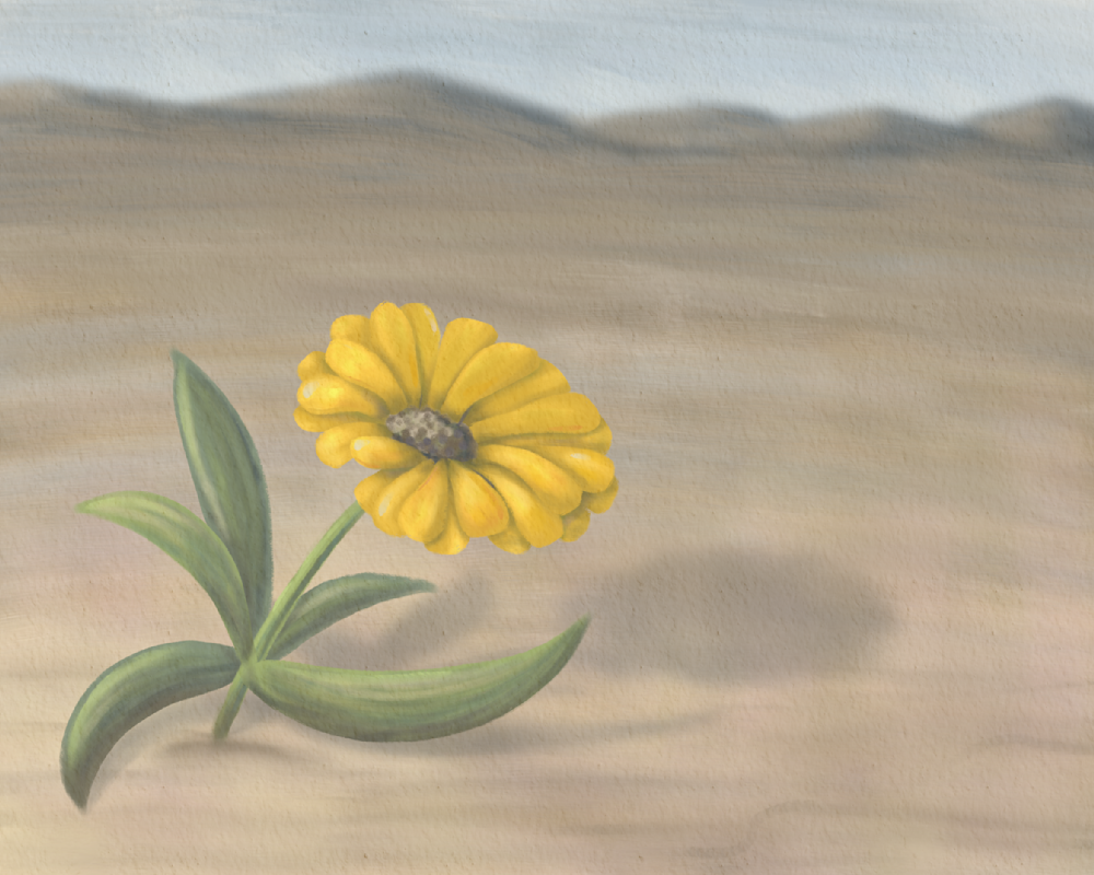 Small Courage – Desert Marigold Wall Art | Minimalist Southwest Wildflower Art