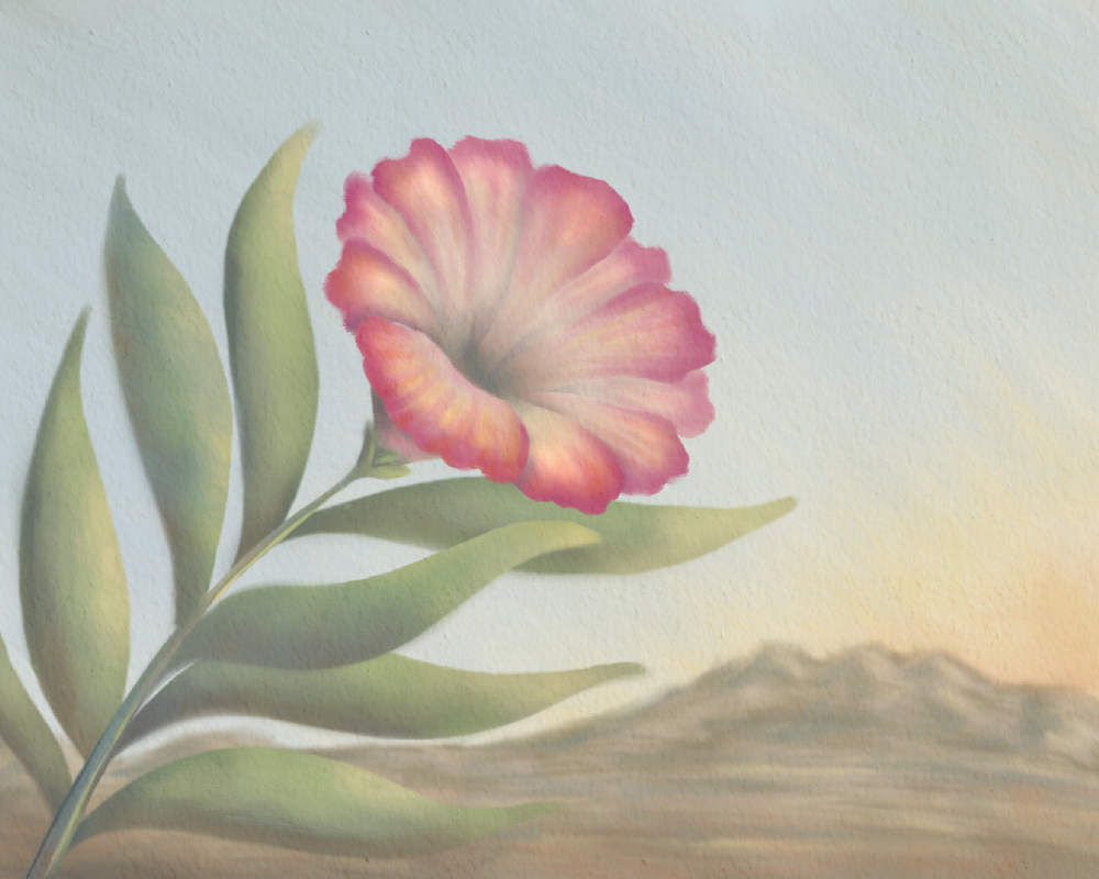 Soft Bell – Desert Willow Flower Wall Art | Minimalist Southwest Botanical Art