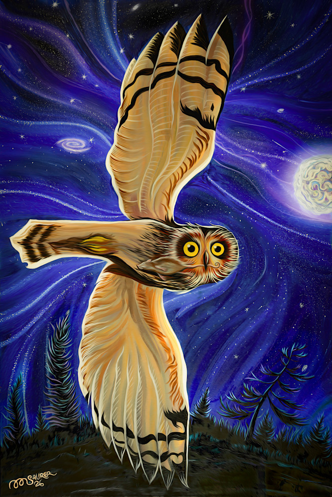 Owl Flight by Marissa Kayne Saurer