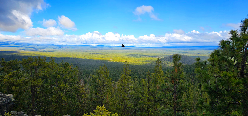 Deschutes National Forest Landscape Photography Art | InYourBackyard