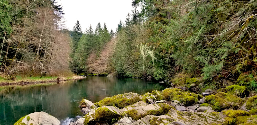 Sitting Along The Molalla River Photography Art | InYourBackyard
