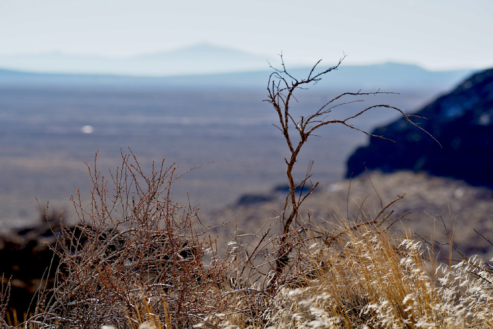 Brushy Shadows Of Fort Rock Photography Art | InYourBackyard