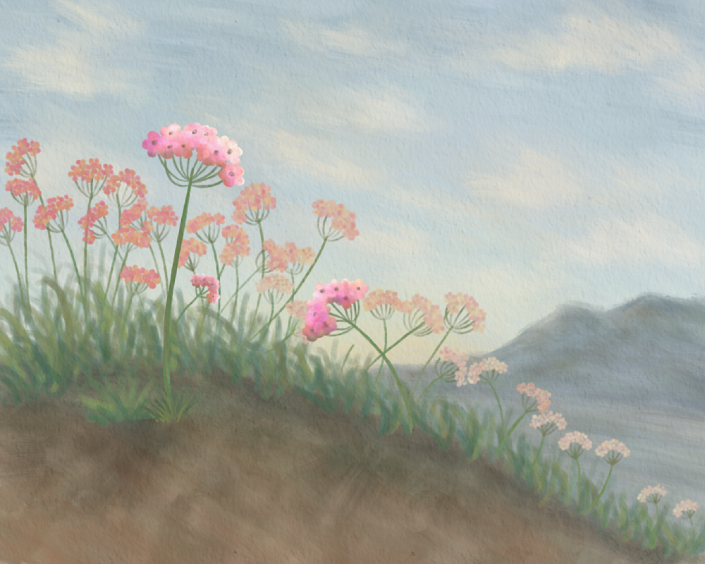 Sand Verbena Desert Wall Art | Contemporary Fine Art Print