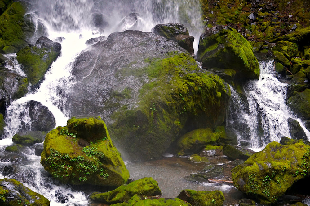 Base Of Grotto Falls   Umpqua National Forest Photography Art | InYourBackyard