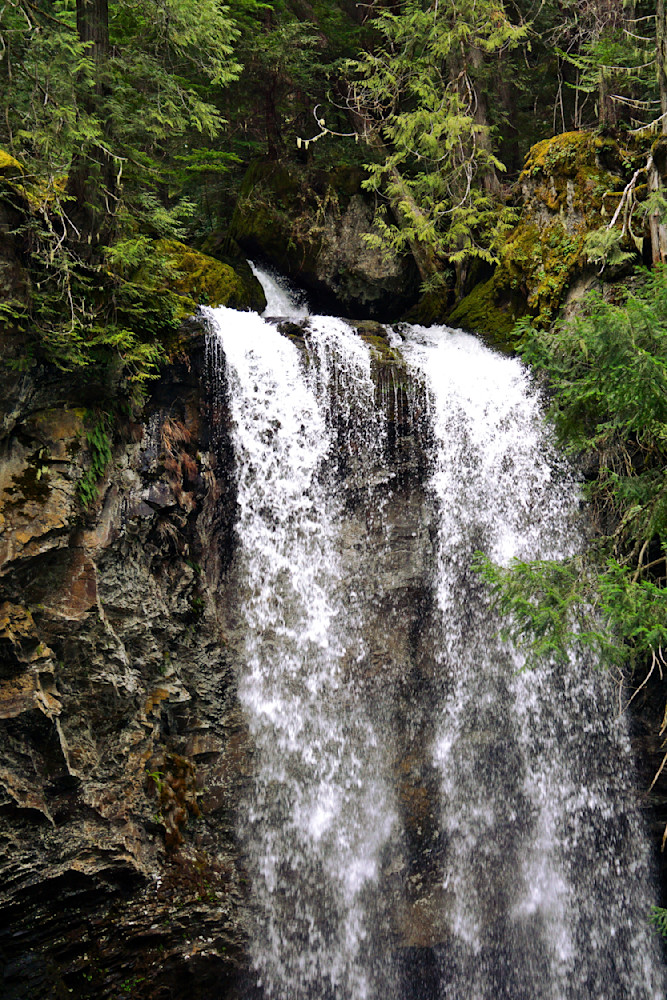 Grotto Falls In The Umpqua National Forest Photography Art | InYourBackyard