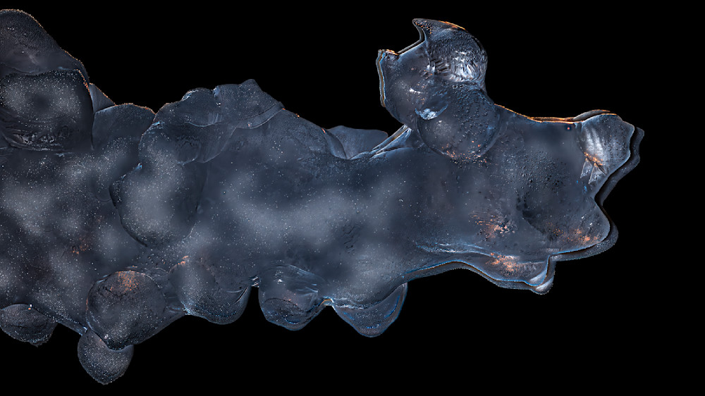 Cold Howl – wildlife photography