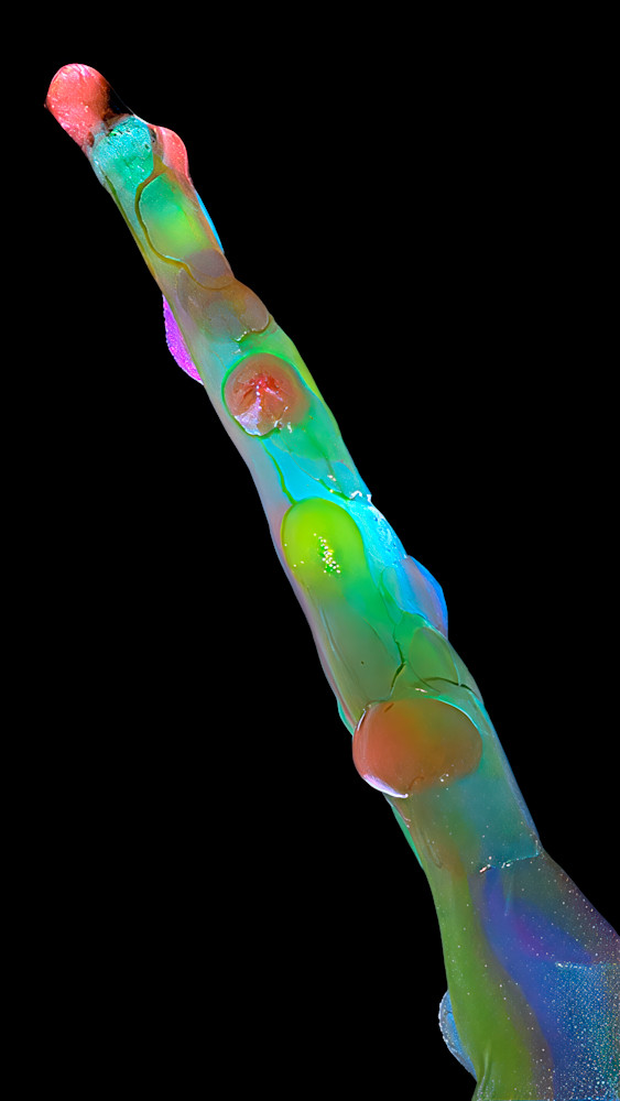 Cosmic Asparagus – fine art nature photography