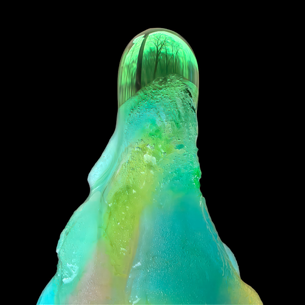 Resurrection Canopy – fine art nature photography